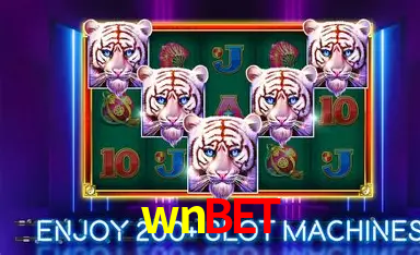 Flash Promotion wnbet